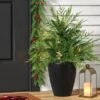 24" Pre-Lit Christmas Norfolk Cedar Artificial Greenery With Ground Stake - Wondershop™ -Wondershop GUEST 0524454d 42c0 4baa a1ff 1071bb7b5d74