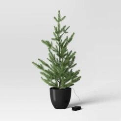 Pre-lit Potted Balsam Fir Mini Artificial Christmas Tree Set Warm White Lights - Wondershop™ 9 Pre-lit Potted Balsam Fir Mini Artificial Christmas Tree Set Warm White Lights - Wondershop™ -Wondershop GUEST 2f6ede86 a317 43ff 9028 1ebcf8a6c23f