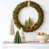 16" Battery Operated Lit Woodland Scene Moss Artificial Christmas Wreath Green - Wondershop™ -Wondershop GUEST 7c316984 b06f 459c bf2d 93906bbb0203