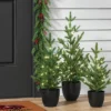 Pre-lit Potted Balsam Fir Mini Artificial Christmas Tree Set Warm White Lights - Wondershop™ -Wondershop GUEST af46b757 b950 4a1d ad17 04fdeb7728bd