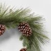 22in Unlit Iced Long Needle And Pinecone Artificial Christmas Wreath - Wondershop™ 2 22in Unlit Iced Long Needle And Pinecone Artificial Christmas Wreath - Wondershop™ -Wondershop GUEST c4956641 0dd6 418e a250 4debc9d3b5b3