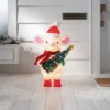 Incandescent Tinsel Mouse Christmas Novelty Sculpture Light With Clear/Multicolor Light Bulb - Wondershop™ -Wondershop GUEST d0871e27 6bd8 4346 8ac2 1f7f18898994