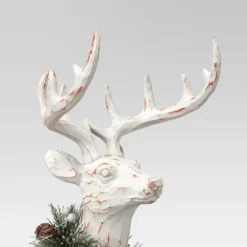 Wondershop -Wondershop GUEST e8b958b6 dad9 4ff1 bb9f 34a04946bbe8