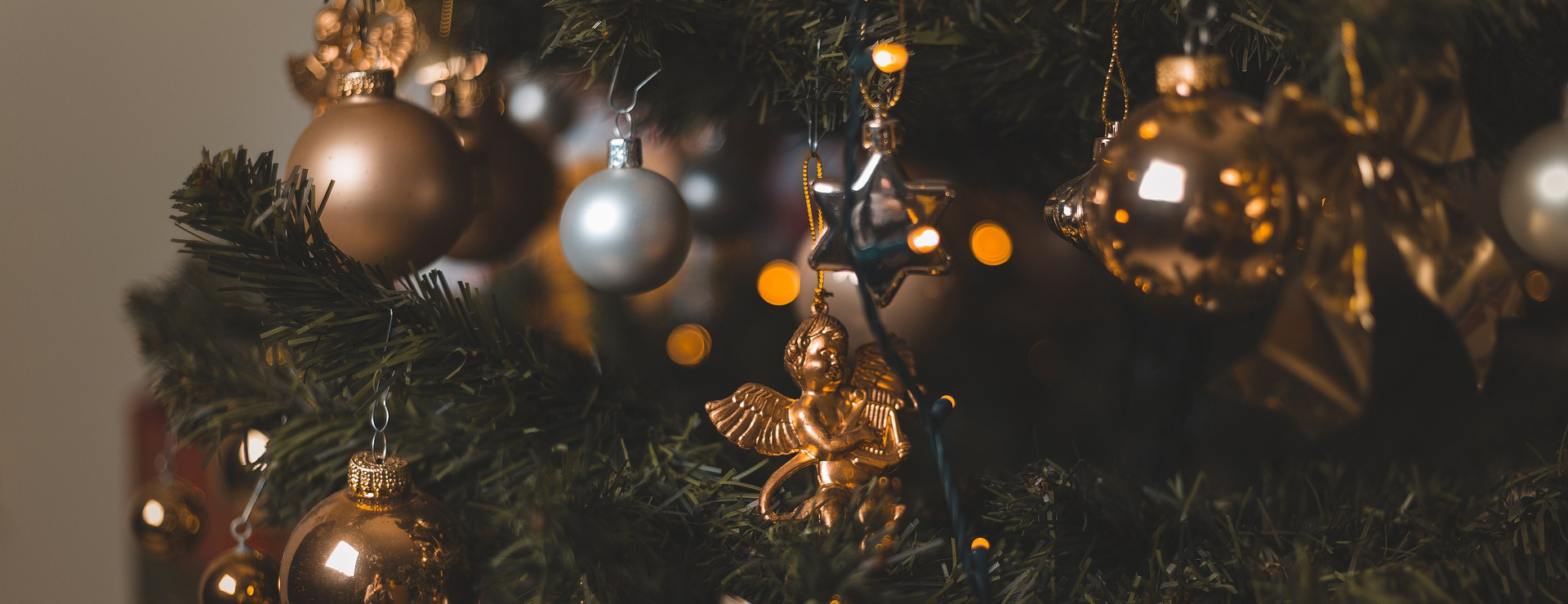 Wondershop 3 Wondershop -Wondershop christmas tree 5758765 1920